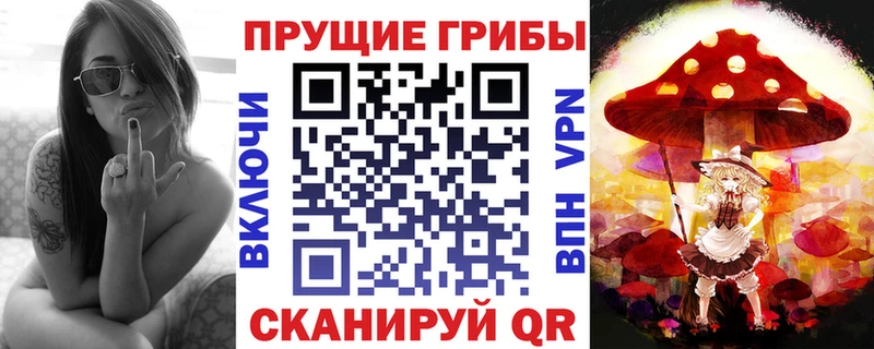 Галлюциногенные грибы Psilocybine cubensis  МЕГА вход  Куровское 
